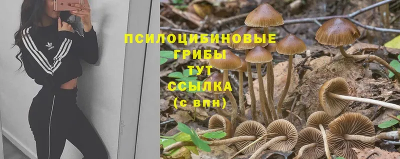 Галлюциногенные грибы GOLDEN TEACHER  Армянск 